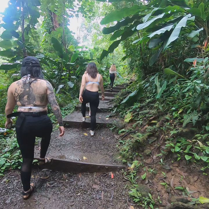 Waikamoi Trail - Hiking Near Me - Haiku, Hawaii