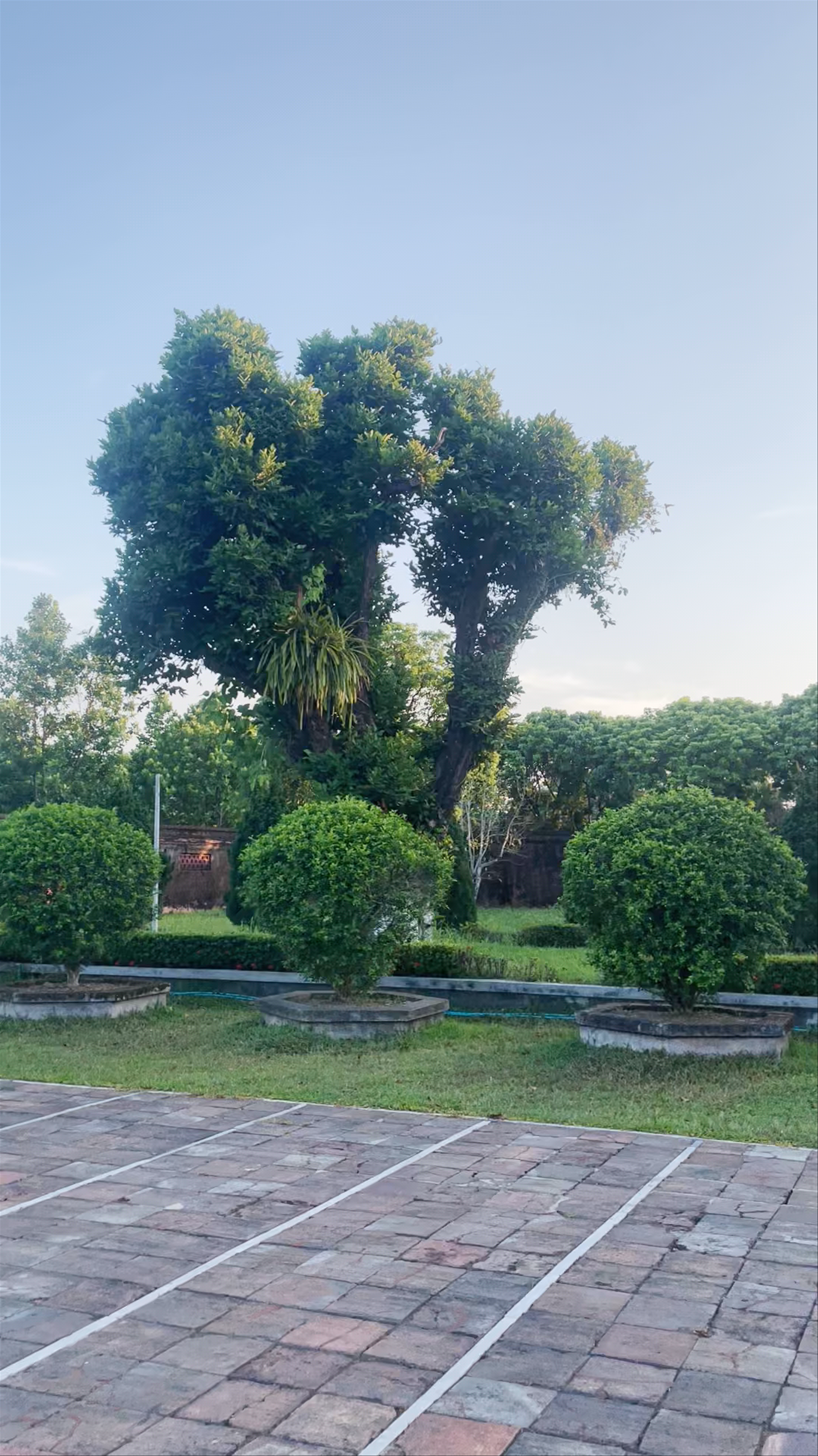 Thế Tổ miếu