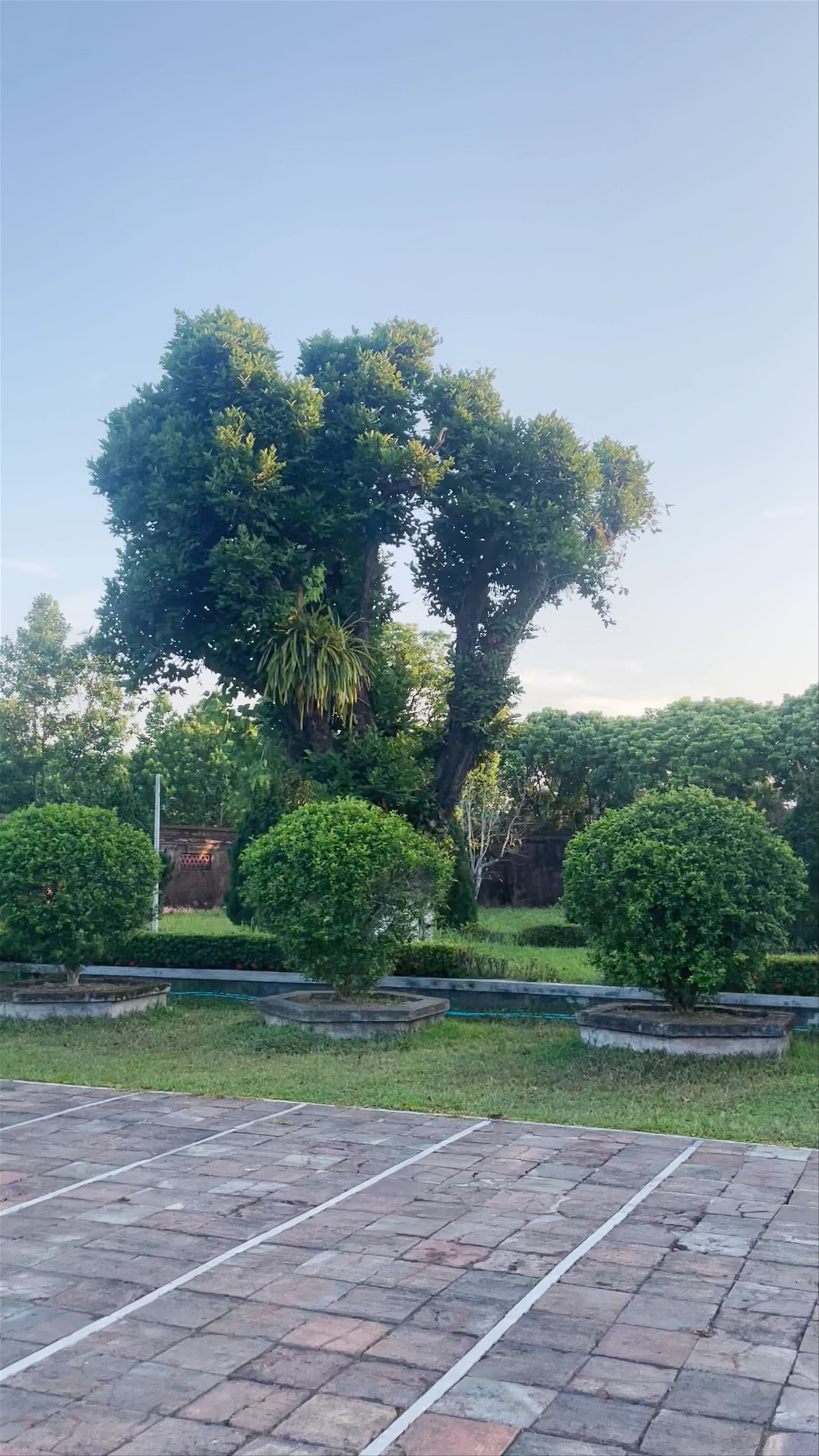 Thế Tổ Miếu