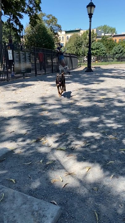 Maria Hernandez Park - Parks Near Me - Brooklyn, New York