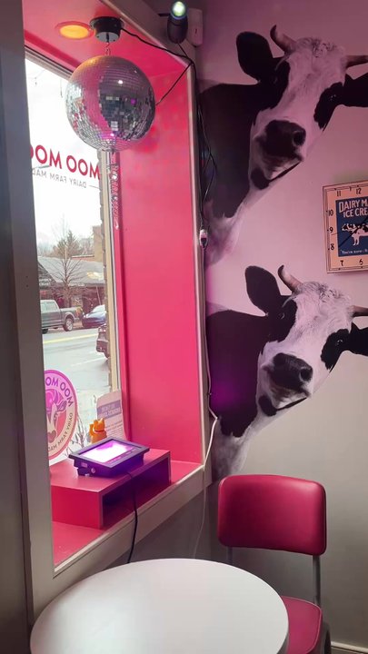 Moo Moo Cows - Ice Cream & Frozen Yogurt Near Me - Baltimore, Maryland