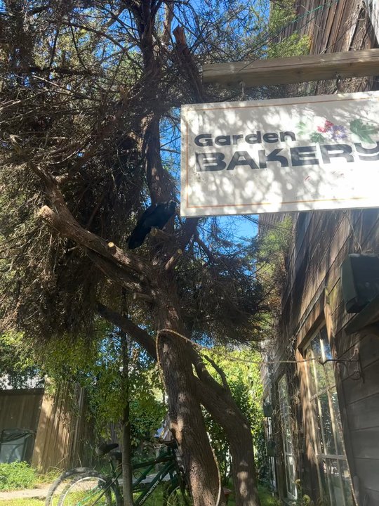Garden Bakery - Bakeries Near Me - Mendocino, California