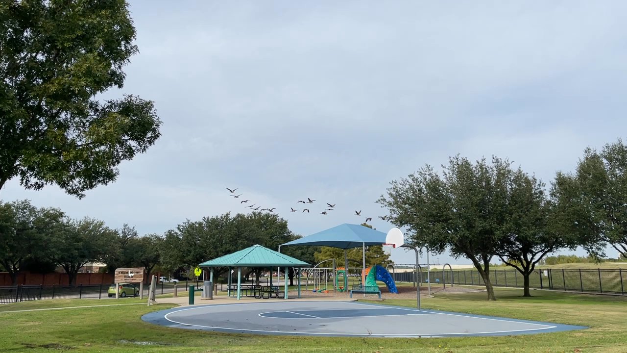 Champions Park - Flying away! - Parks Near Me - Irving, Texas