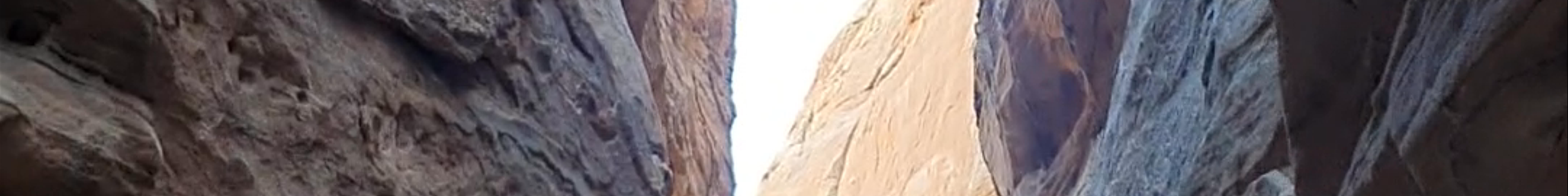 Tours & experiences in Moapa Valley