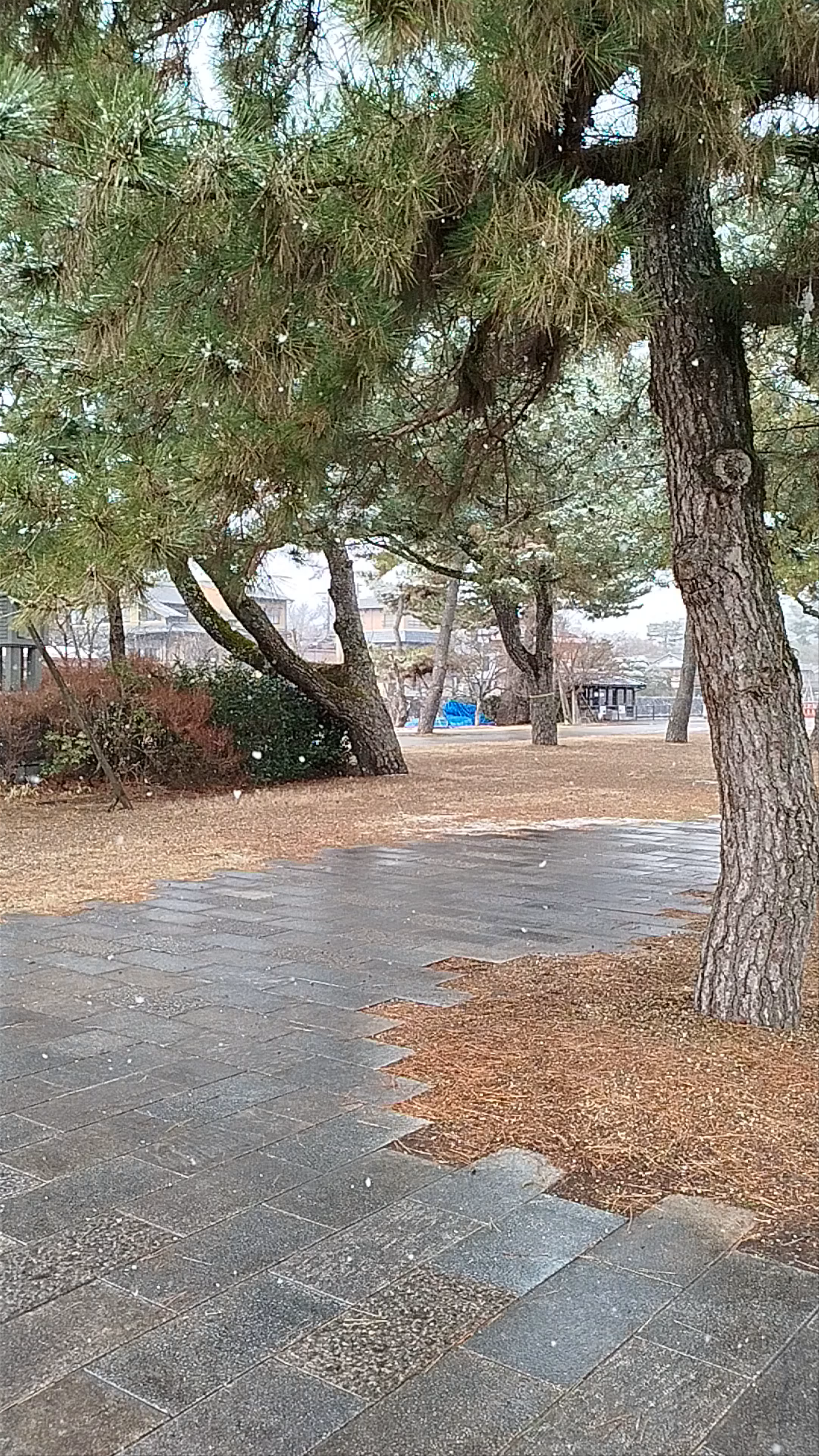 Ukishima Jusanjunoto (Thirteenth Story Pagoda)