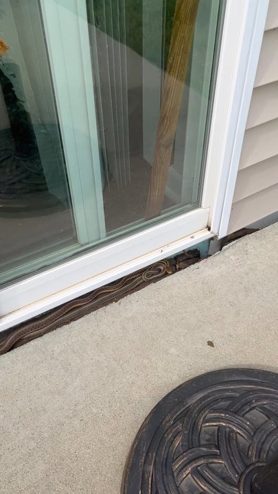 Redwood Johnstown - Snake den at Redwood Johnstown that they refuse to get rid of - Apartments Near Me - Johnstown, Ohio