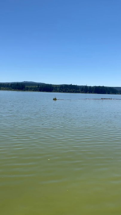 Silver Lake Resort - What a view - Hotels Near Me - Silverlake, Washington