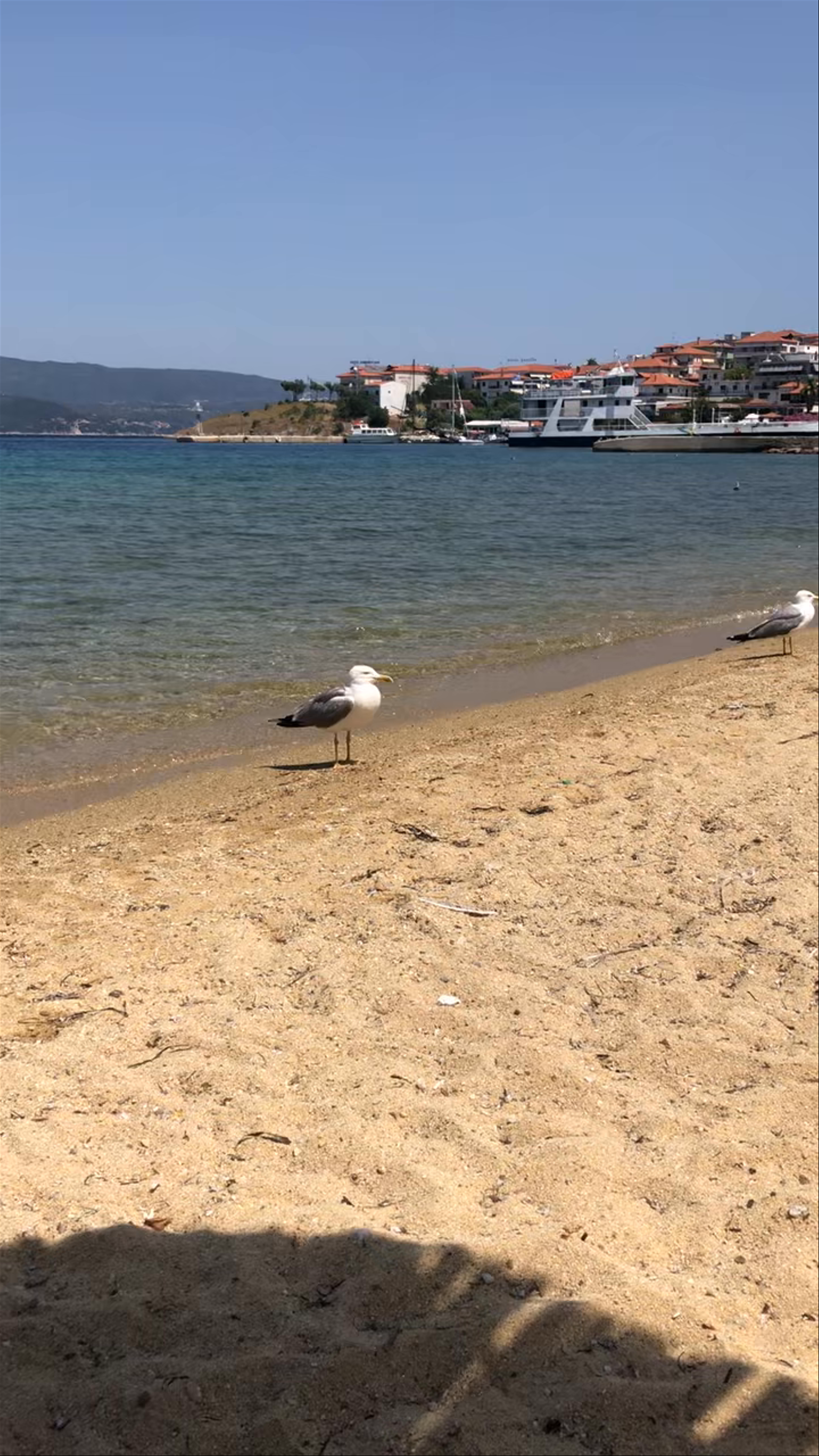 Bongo Restaurant & Beach Bar