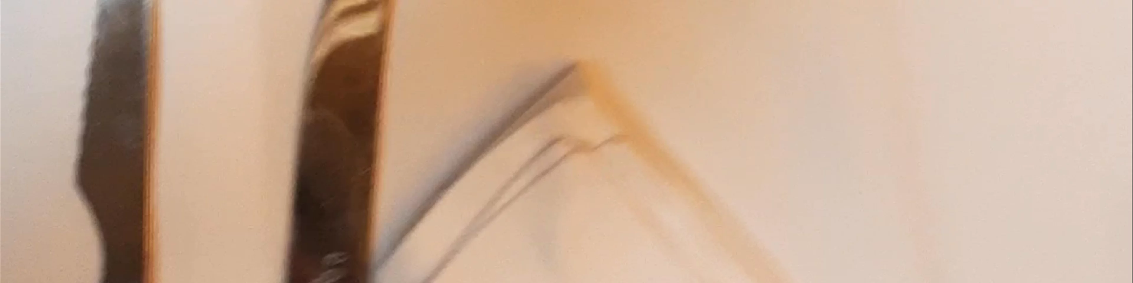 La Sauceda