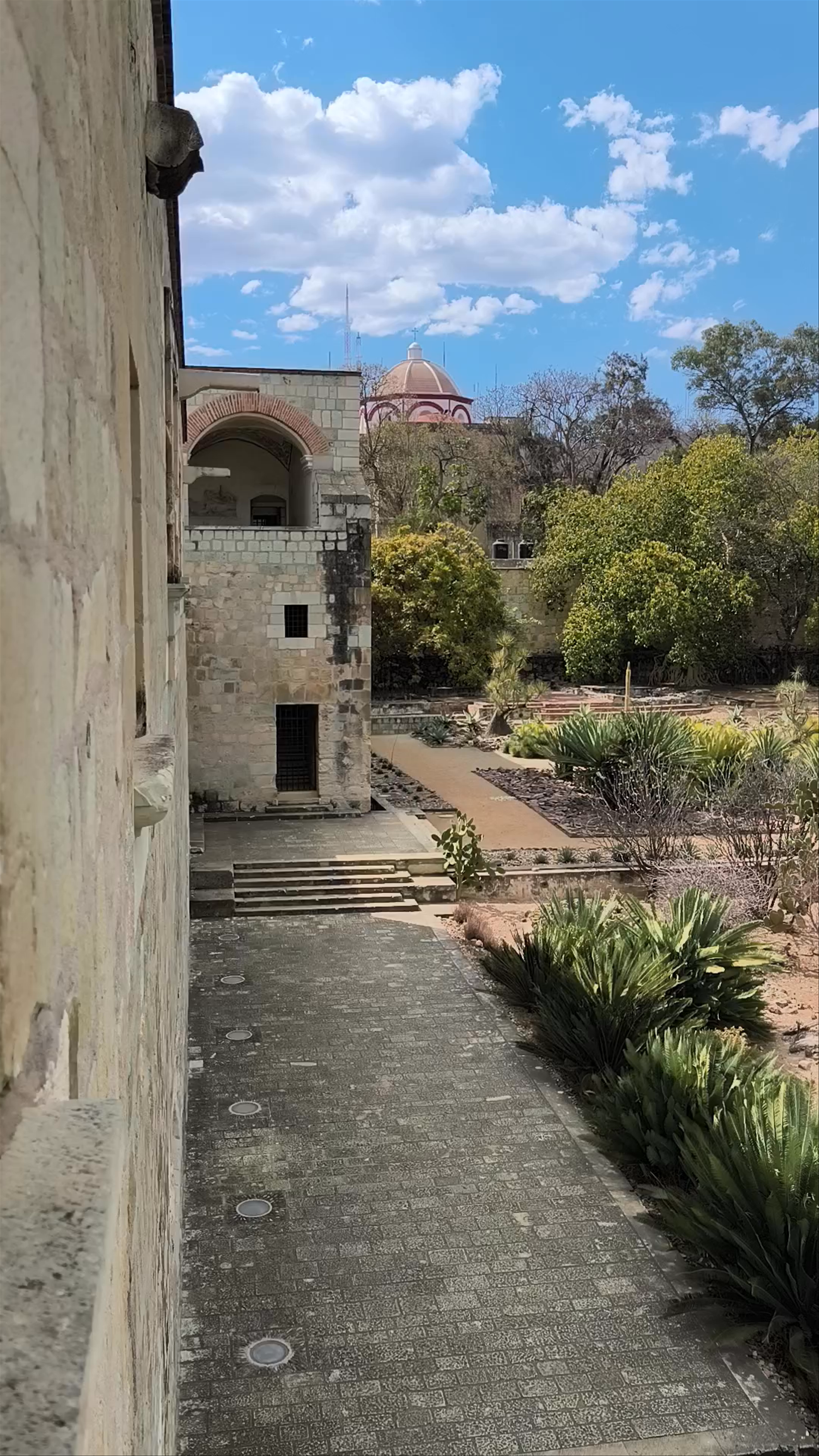 Jardín Etnobotánico de Oaxaca