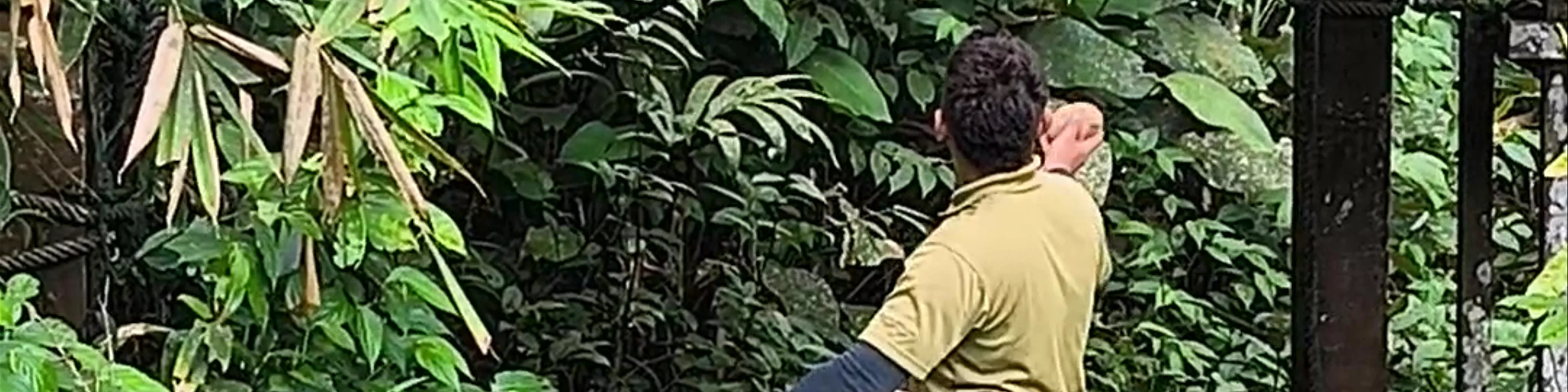 Semenggoh Nature Reserve