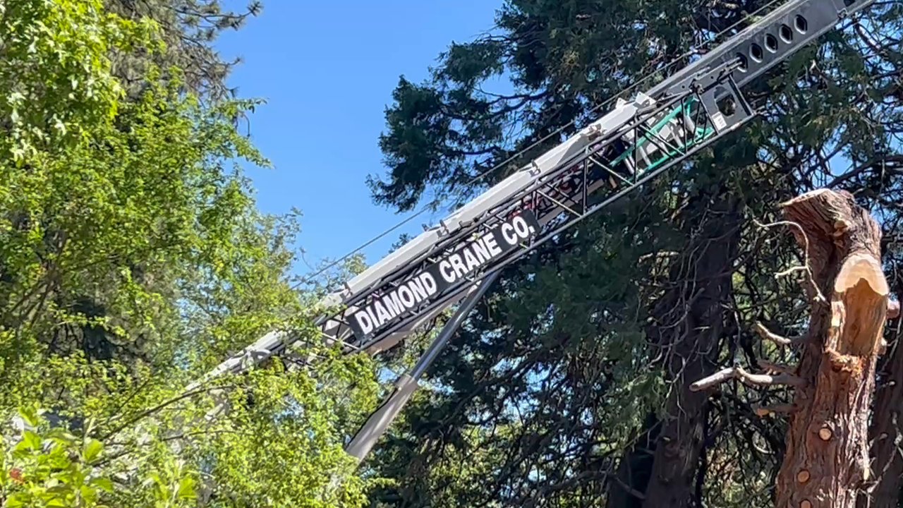 Diamond Crane - Crane Services Near Me - Shingle Springs, California