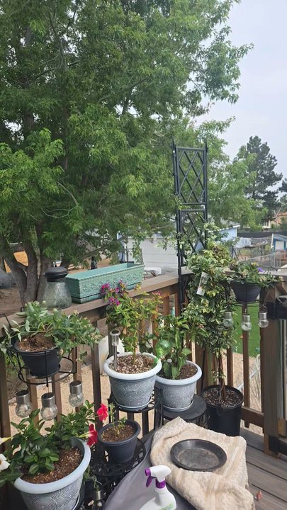Service Pros - He did everything in my back yard - Handyman Near Me - Colorado Springs, Colorado