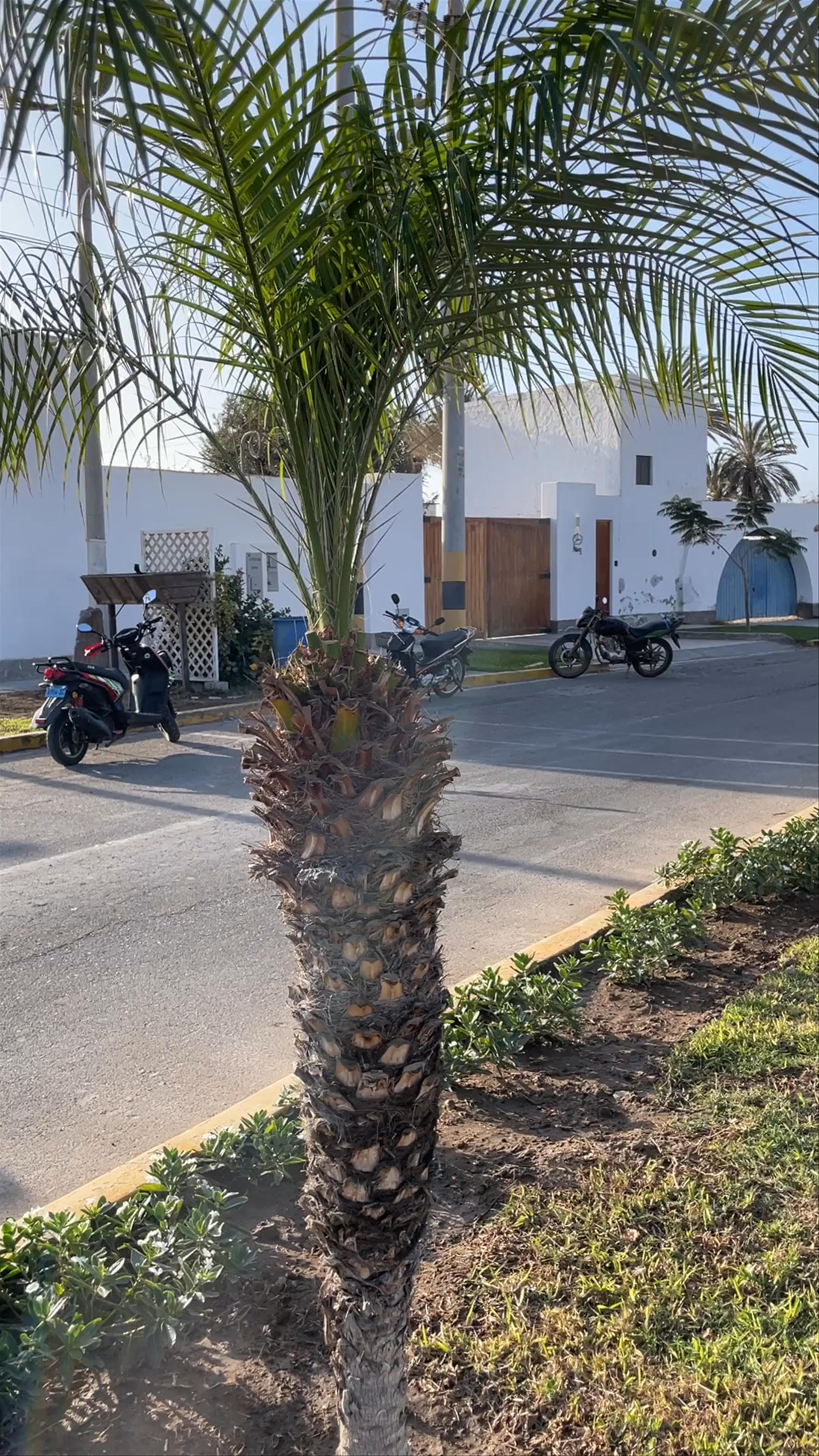 Plazuela del desembarco Don José de San Martín