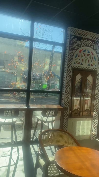 Qahwa Time - Video of interior-front - Coffee & Tea Near Me - Berkeley, California