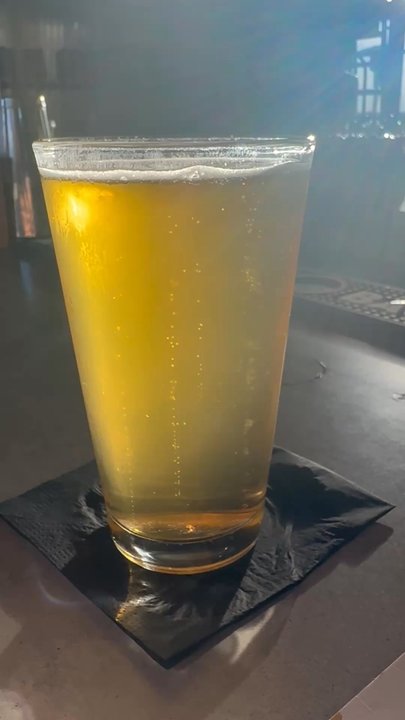 Good Liquid Brewing - Just look at this ice cold properly poured craft beer - Breweries Near Me - Sarasota, Florida