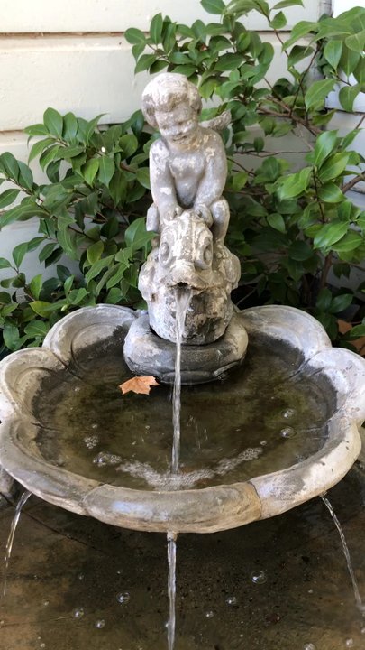 Victorian Rose - Fountain - Venues & Event Spaces Near Me - Biggs, California