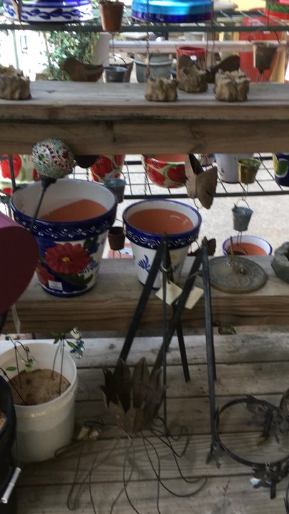 Round Rock Garden Center - Nurseries & Gardening Near Me - Round Rock, Texas