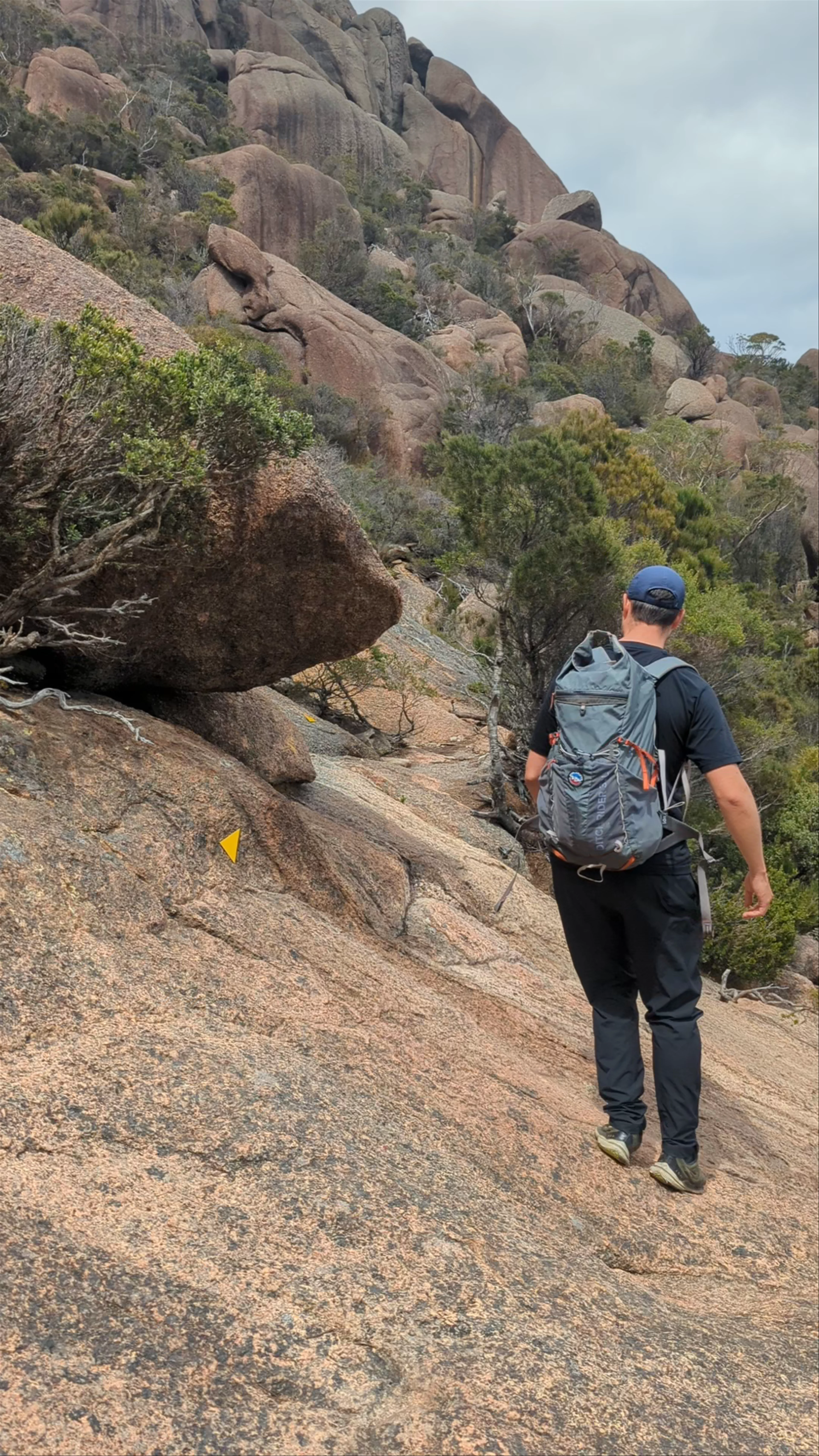 Mount Amos Track
