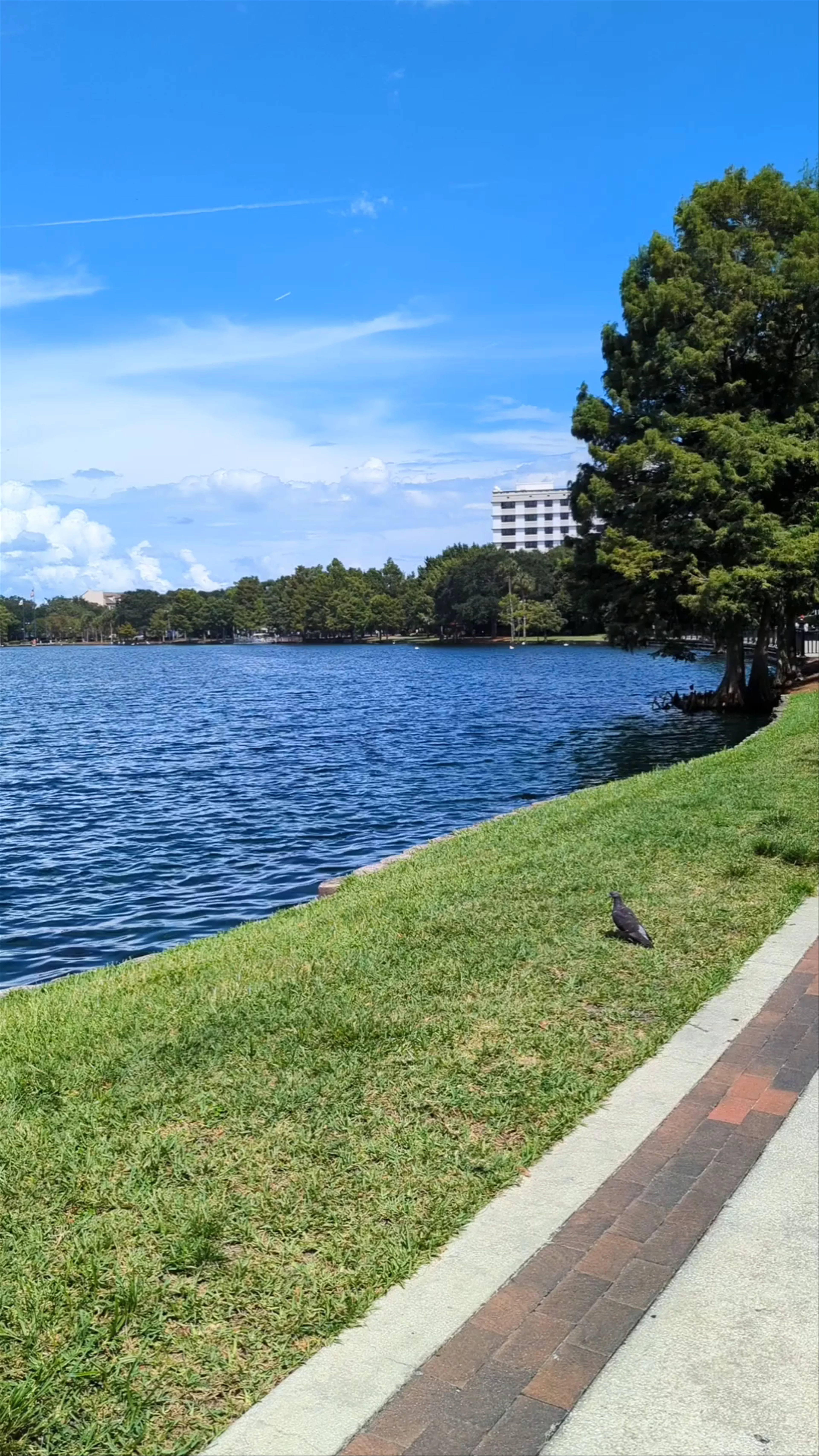 Lake Eola Park, Orlando, FL, USA