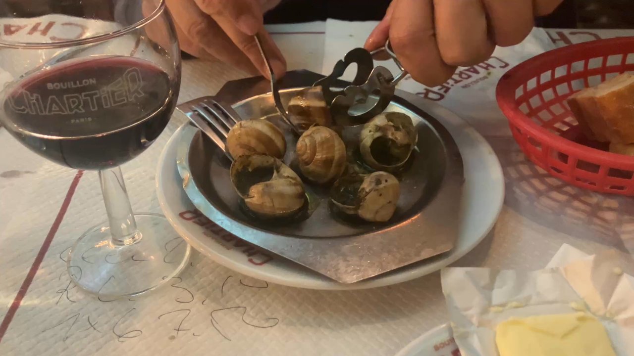 Bouillon Chartier - Snail wrestling 101. - French Near Me - Paris, 01