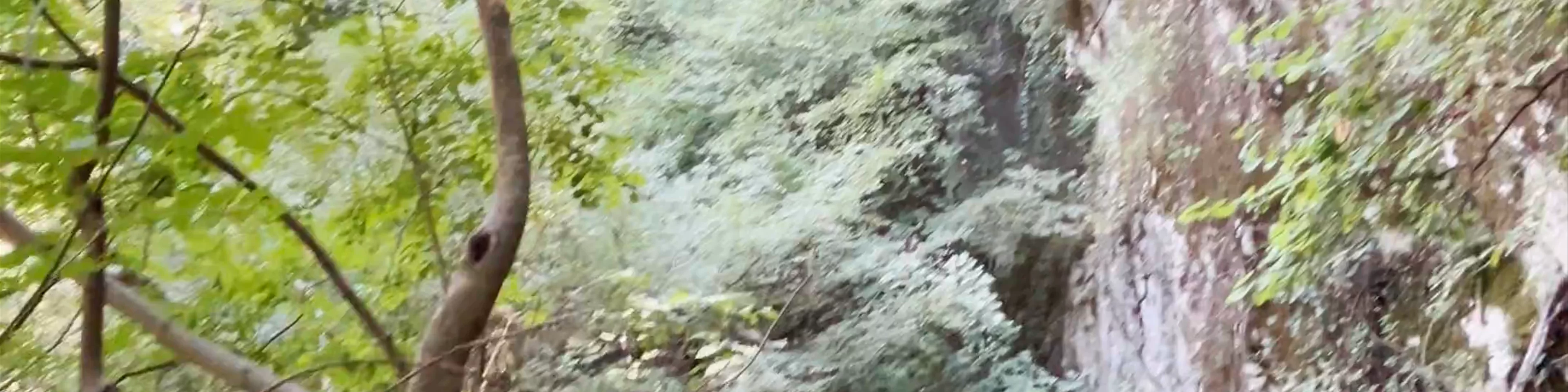 River of Souls - Acheron River