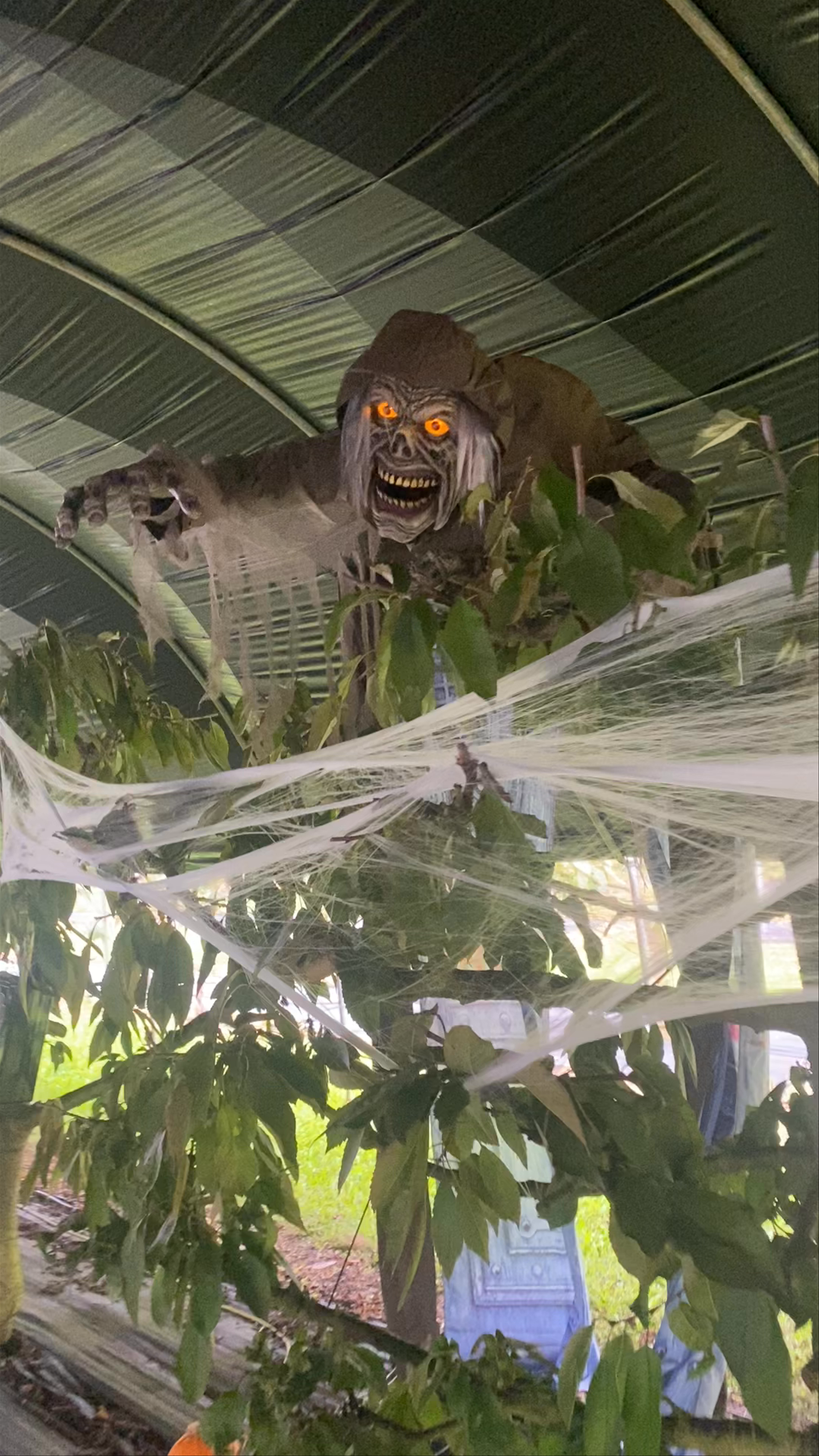 Spooky Halloween Haunted Walk at Cammas Hall Farm