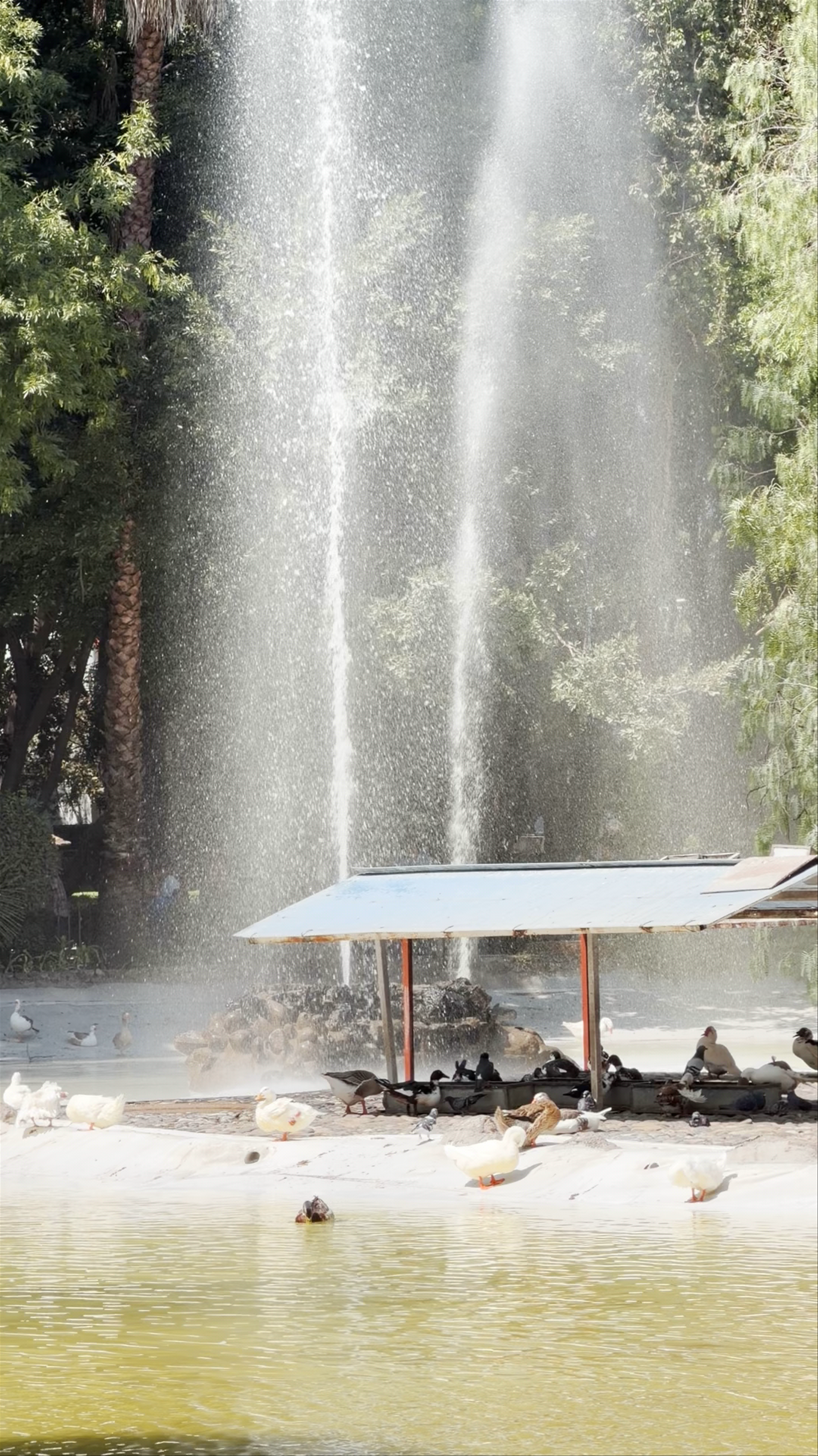 Parque México