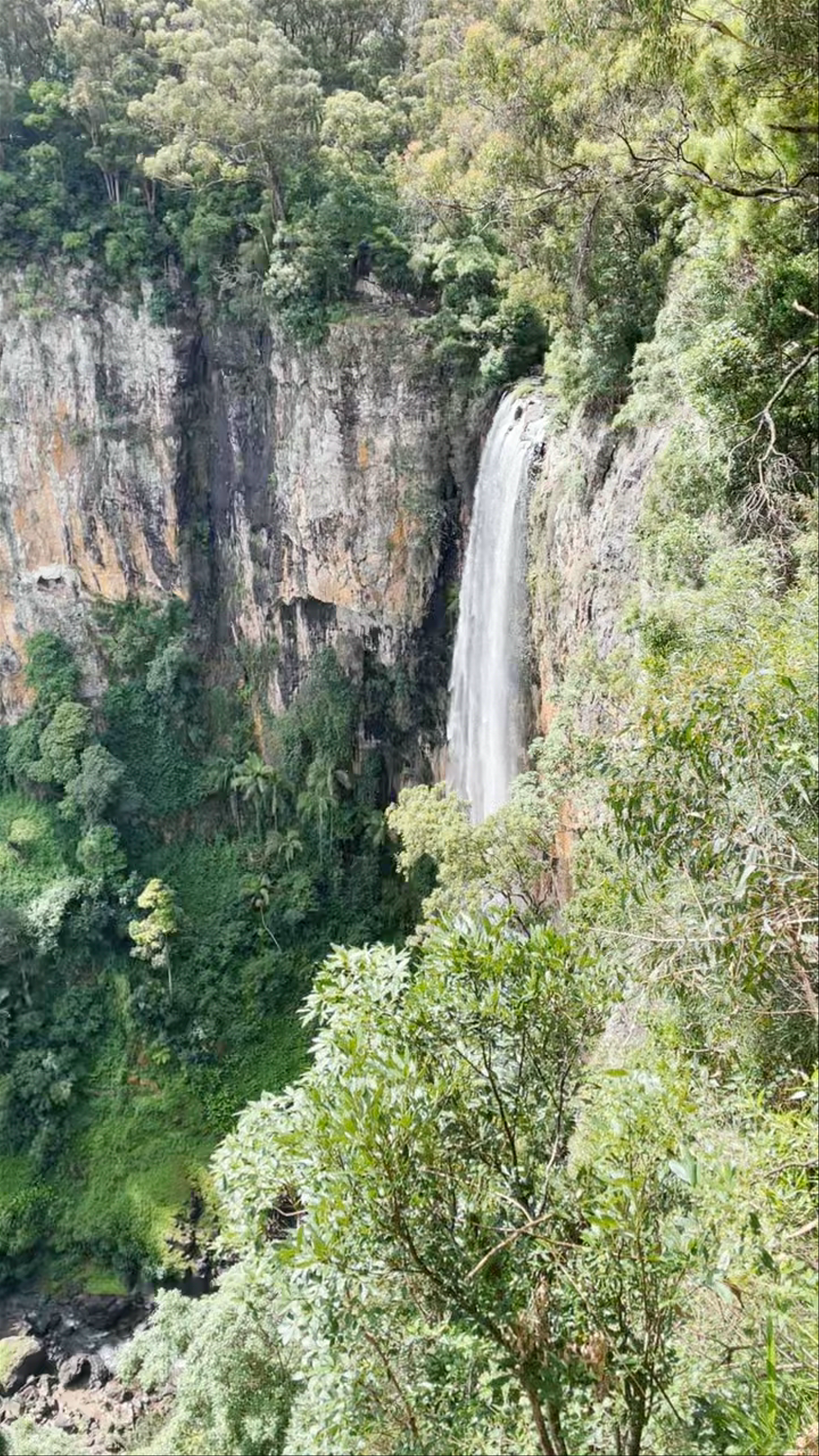 Springbrook National Park