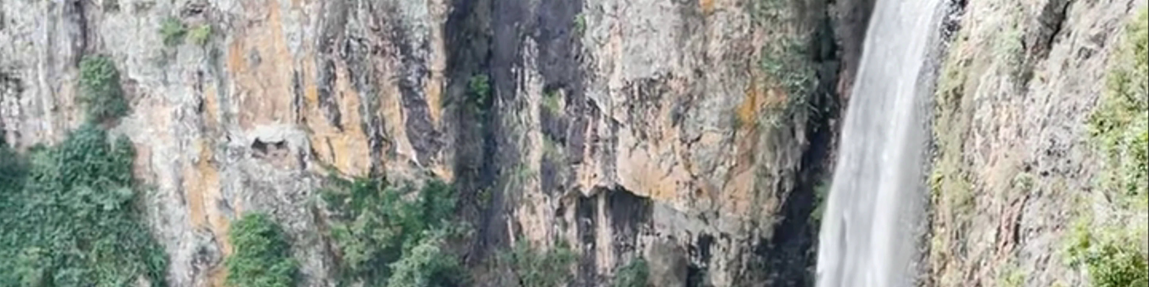 Springbrook National Park