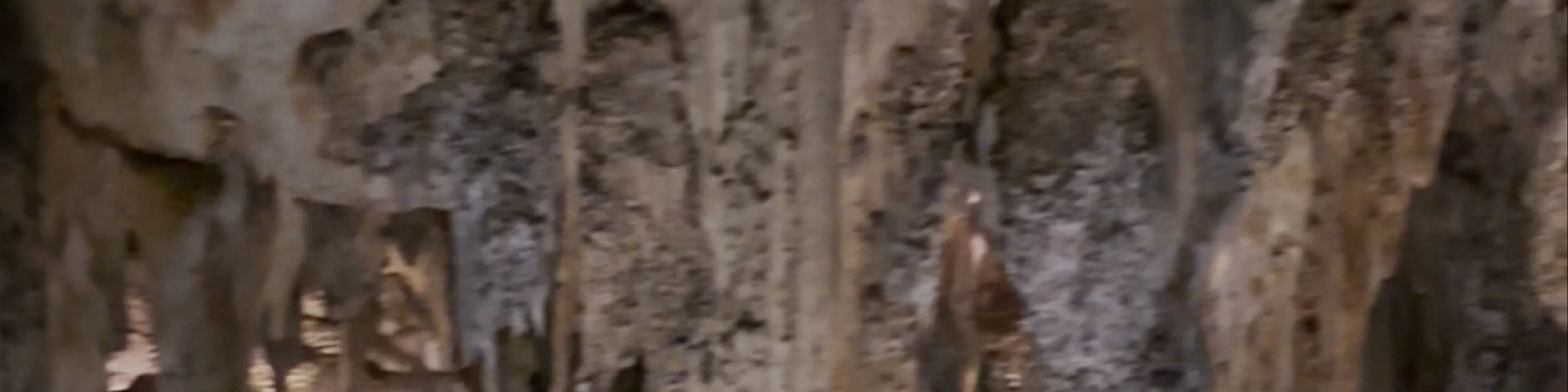 Fundación Cueva de Nerja