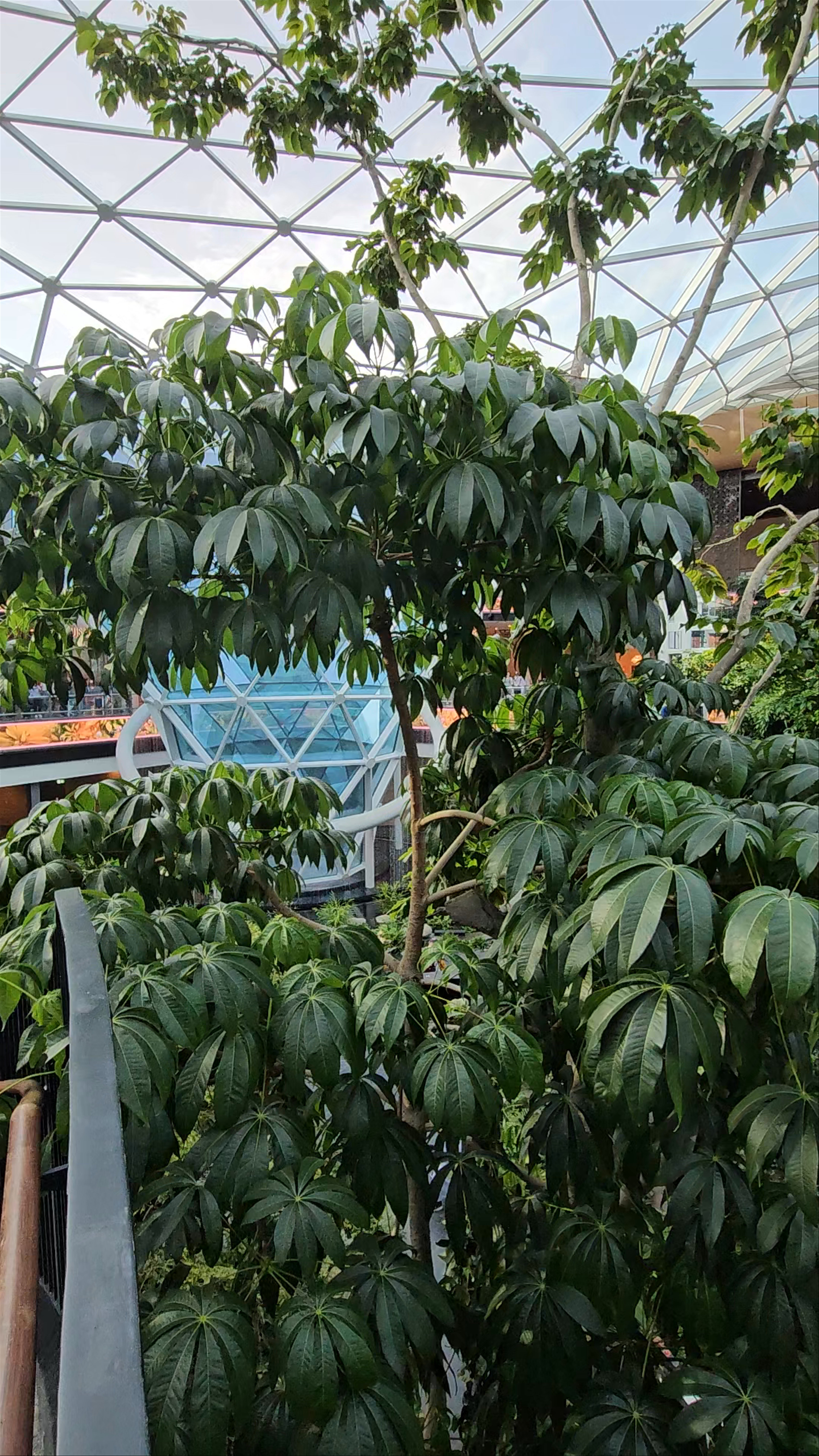 Doha International Airport (DIA