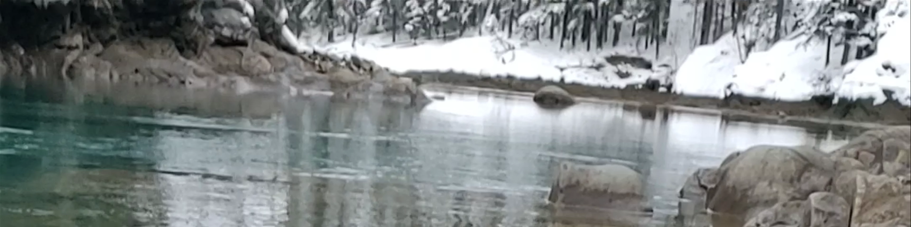 Canoe Meadows