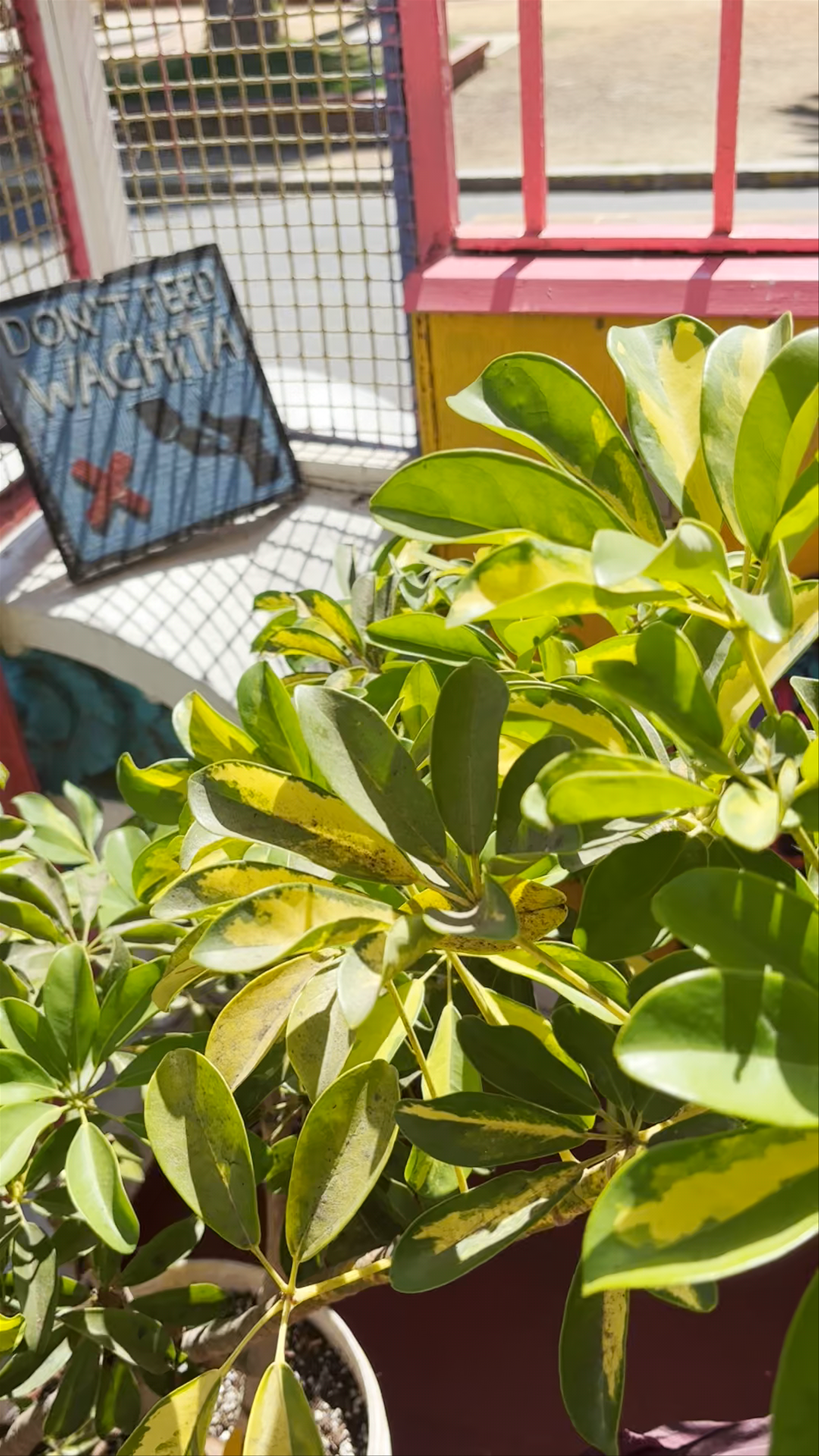 Nomada Eco Hostal - Avenida Brasil