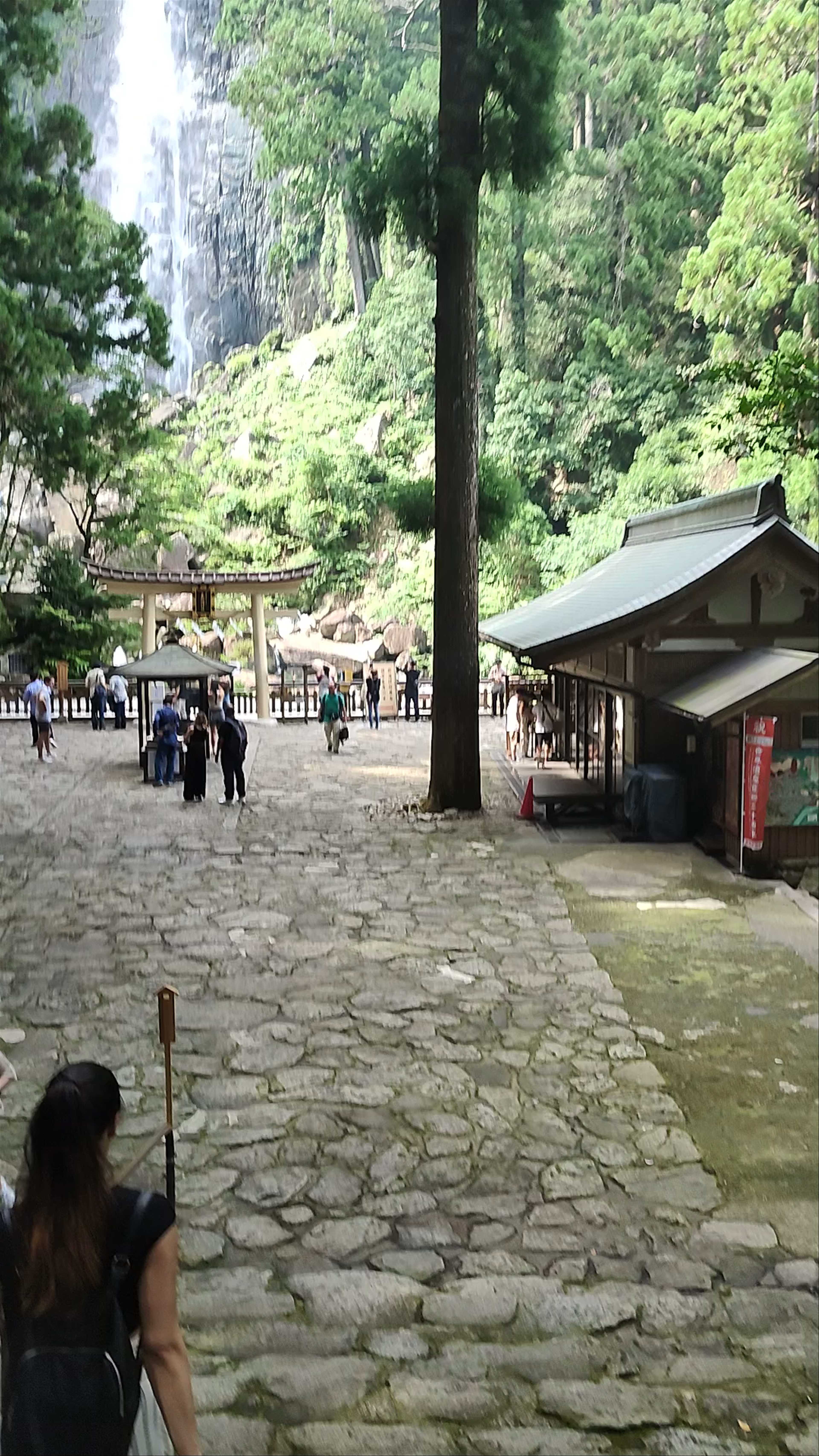 Hiro Shrine and Nachi Waterfall: A Spiritual Journey in Wakayama, Japan