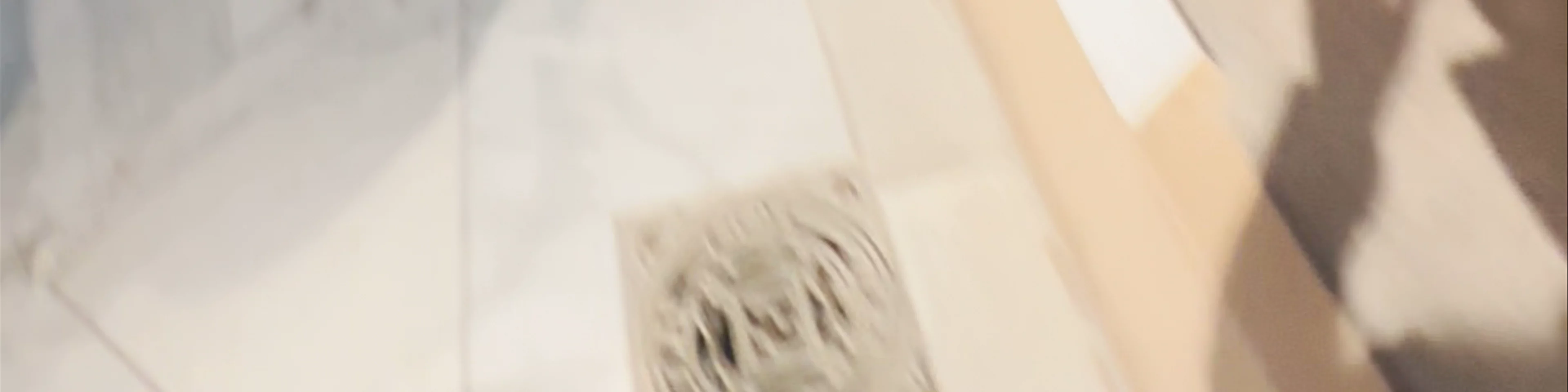 The Egyptian Museum