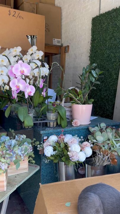 Be Flower - Florists Near Me - Los Angeles, California