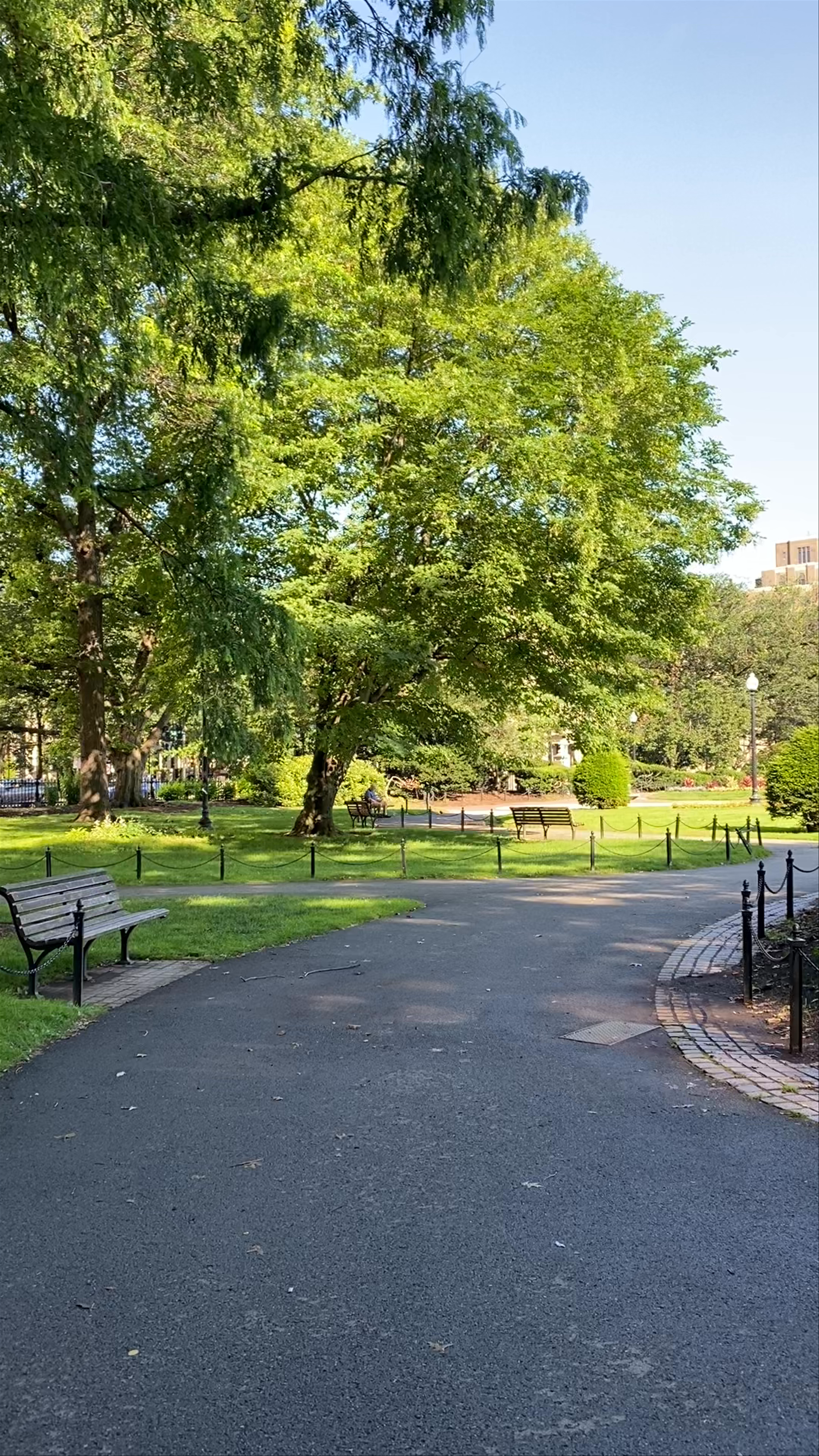 Tranquil Stroll Through Boston Public Garden - A Lush Urban Oasis