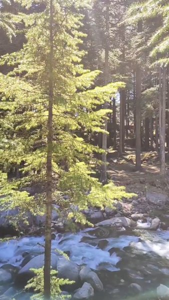 Photo of Vyas River in Himach