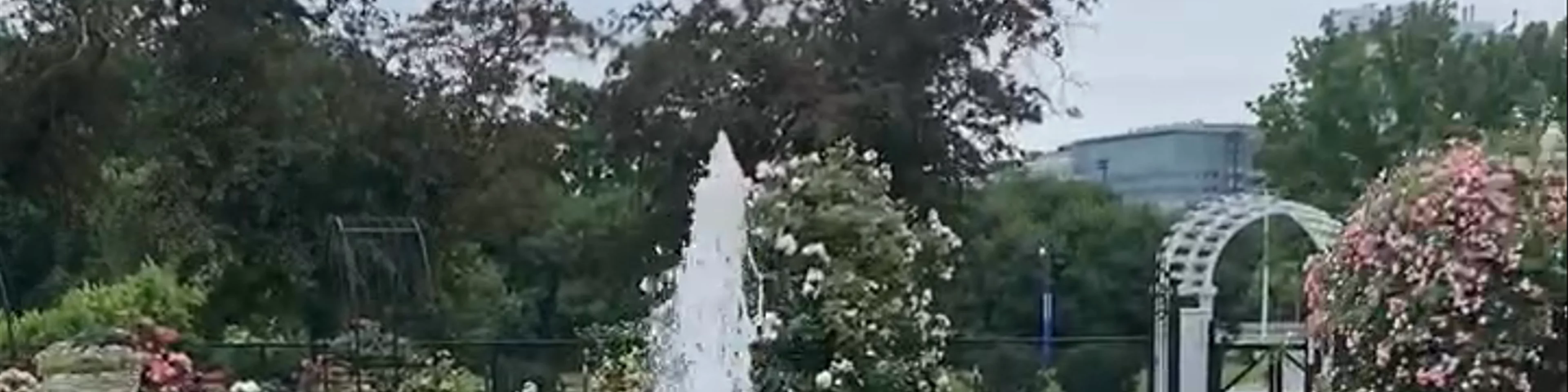 Keller Rose garden 