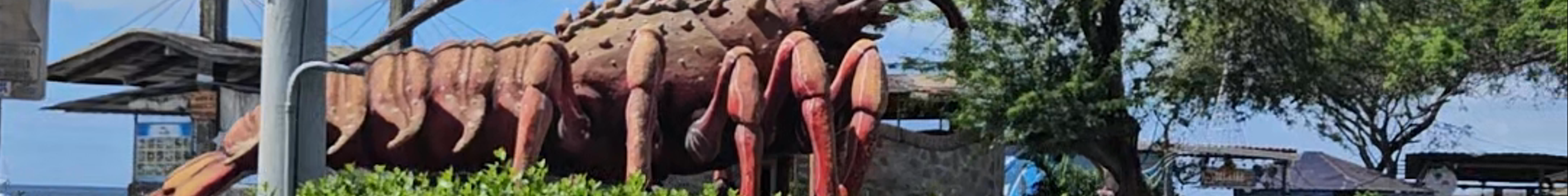Tours & experiences in Galápagos