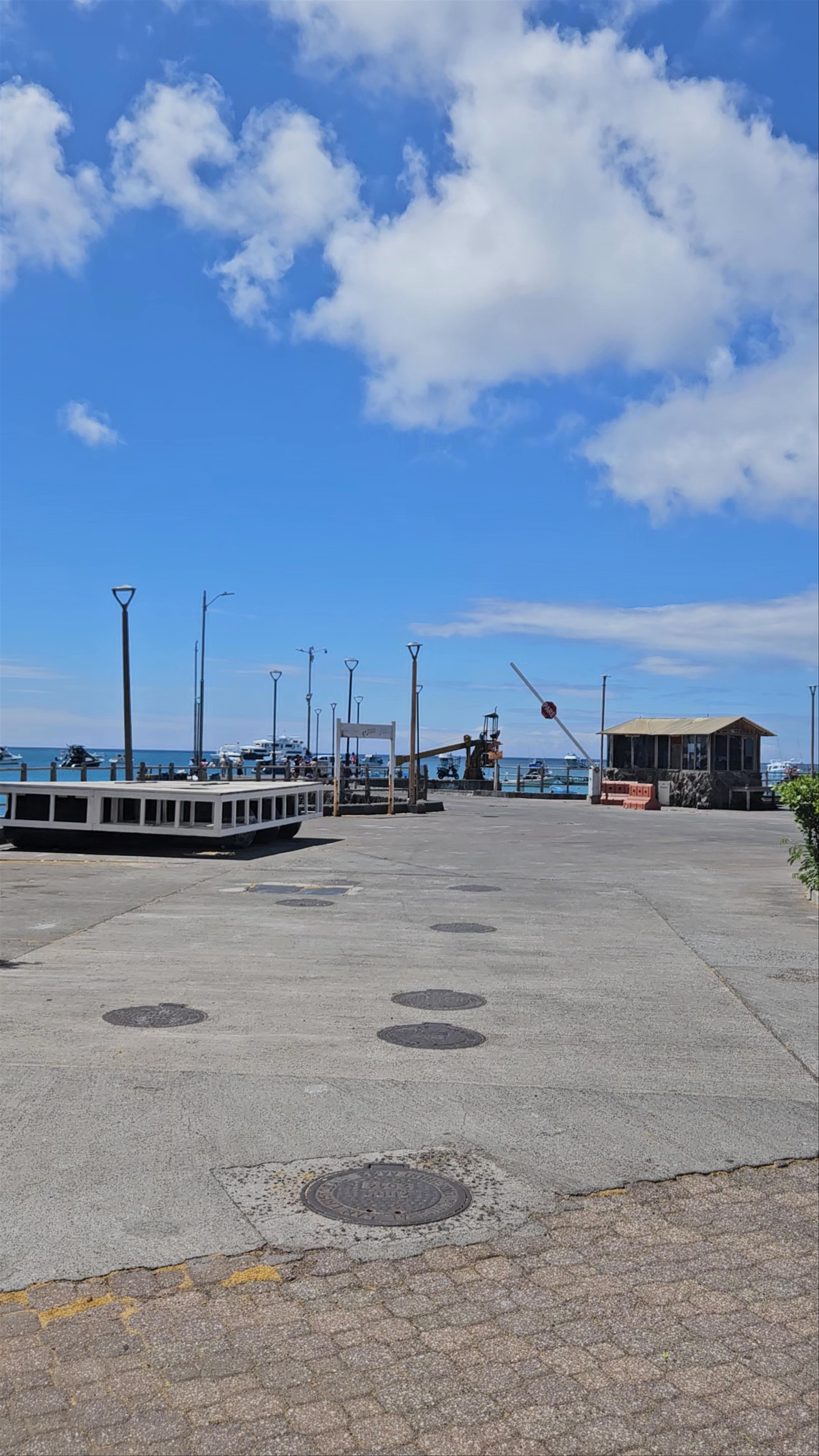 Monumento a la Langosta