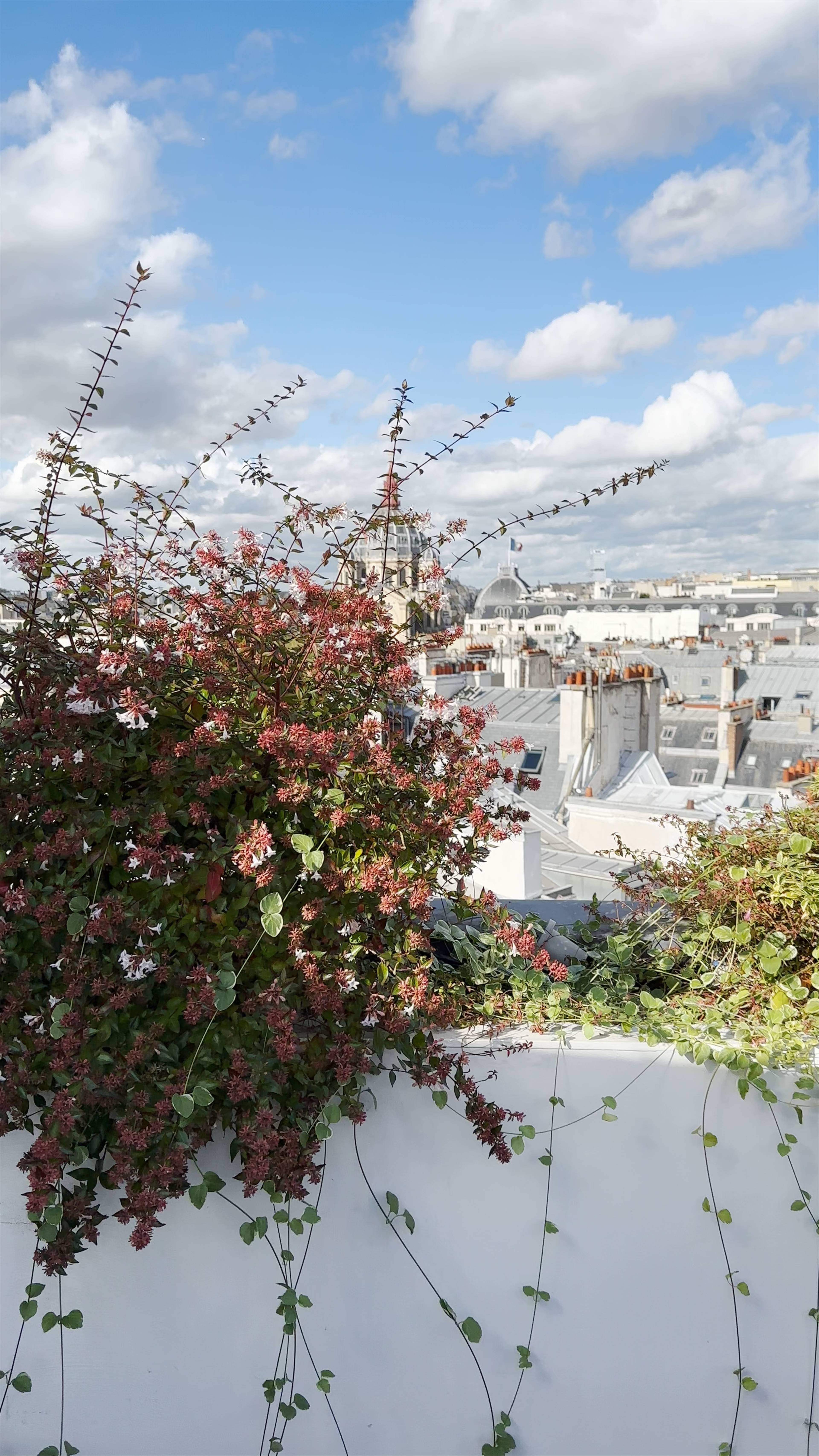 Hyatt Paris Madeleine