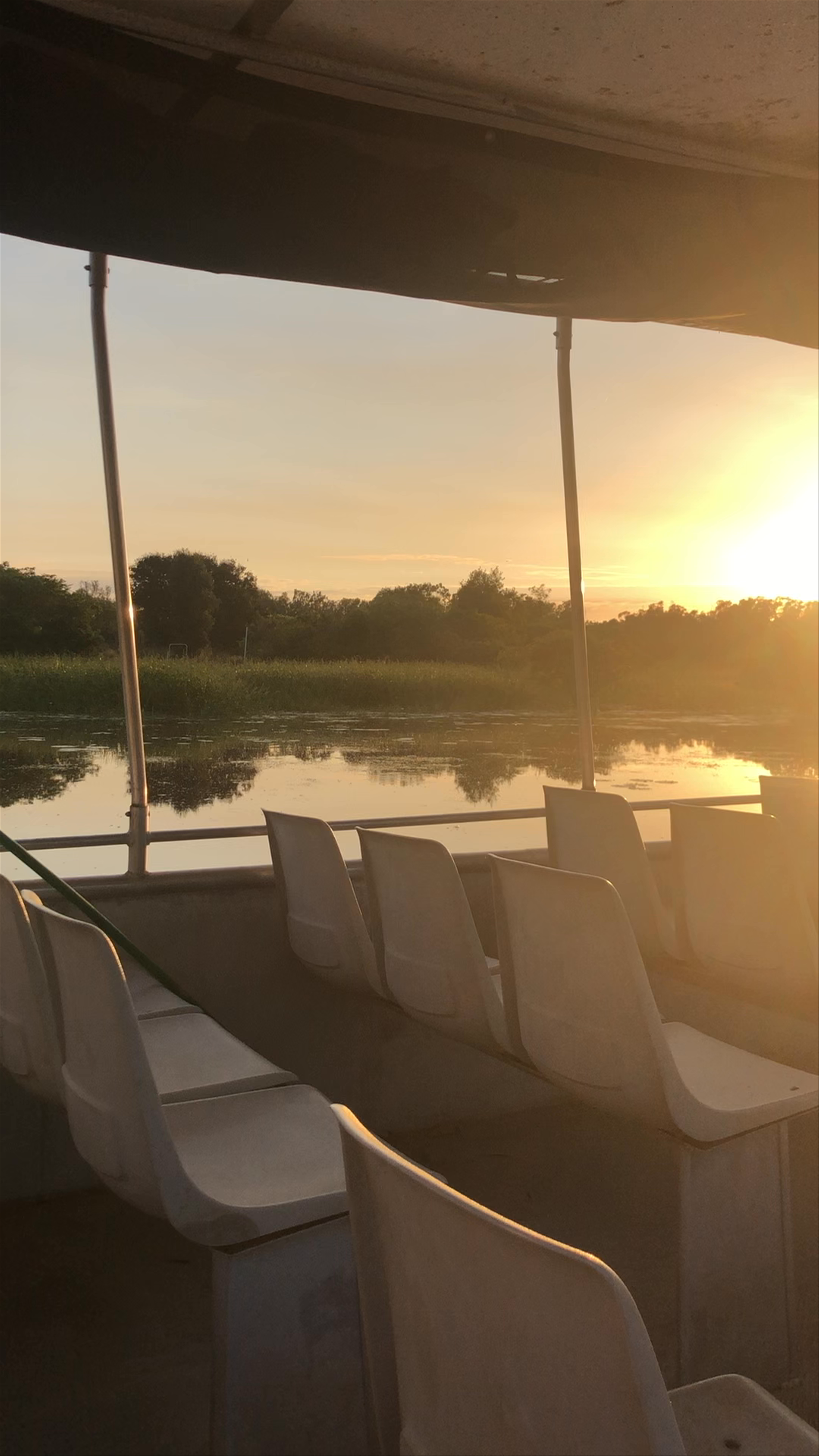 Mary River Billabong