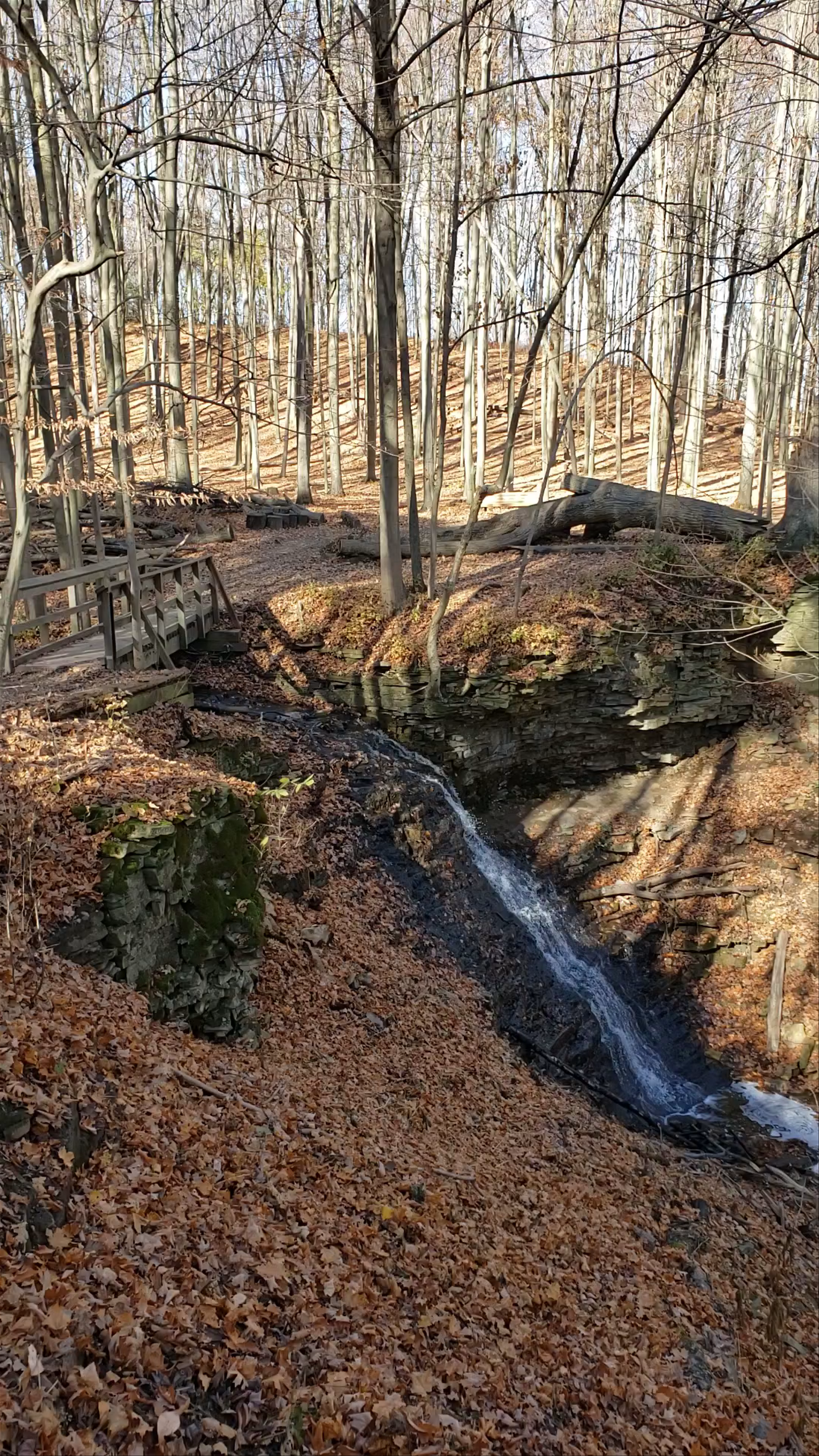Canterbury Falls: A Tranquil Hidden Gem in Hamilton, Ontario