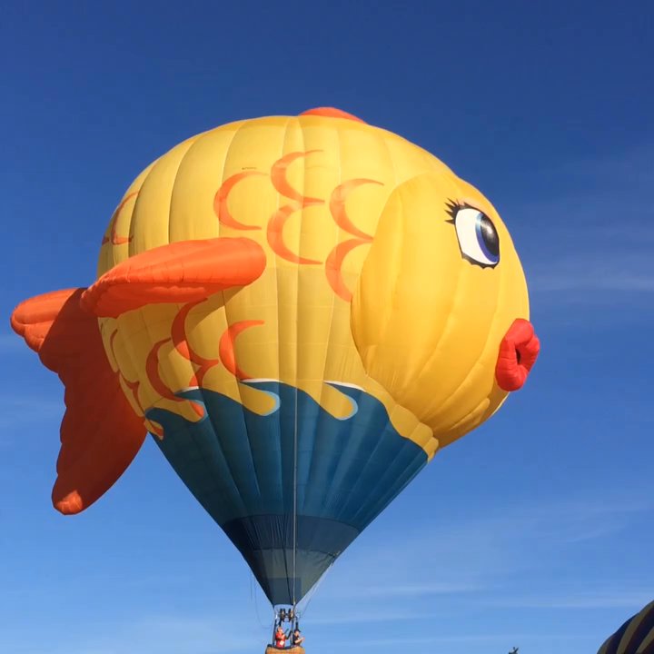 Keiser Community Park - Parks Near Me - Windsor, California