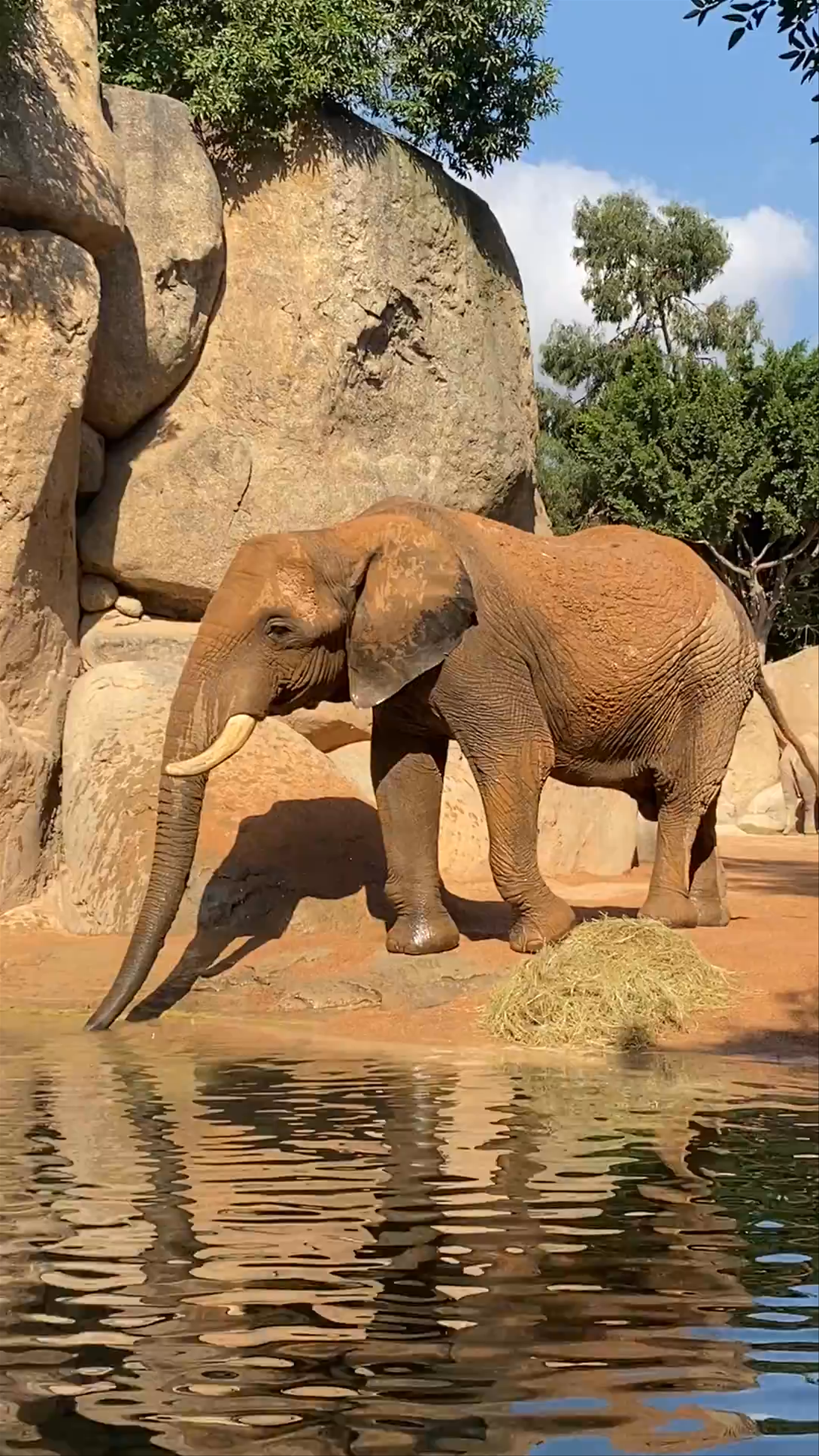 Bioparc