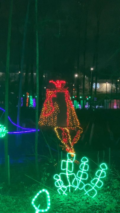 Lights at Lafarge - Local Flavor Near Me - Coquitlam, British Columbia