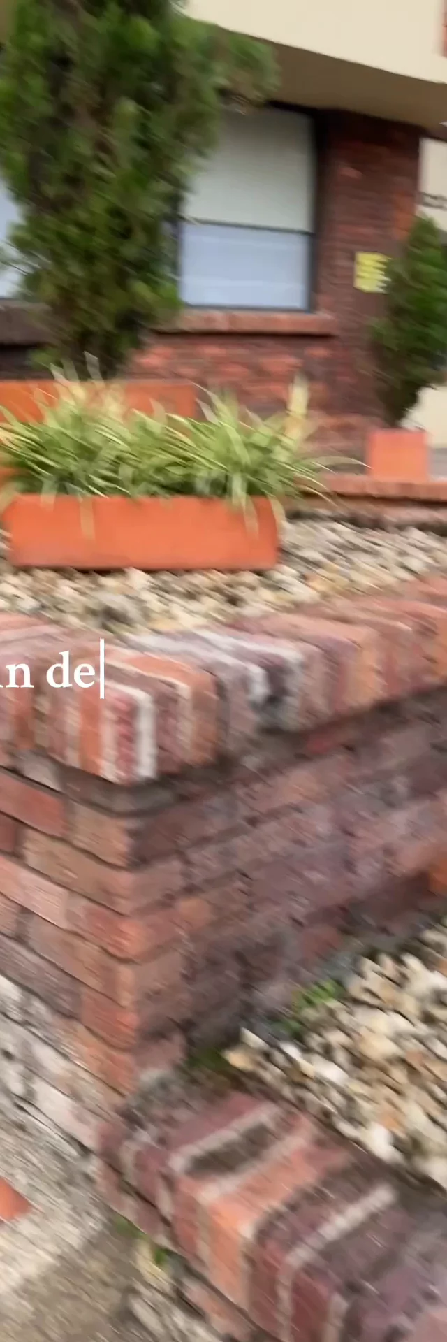 Visitando un nuevo local 
