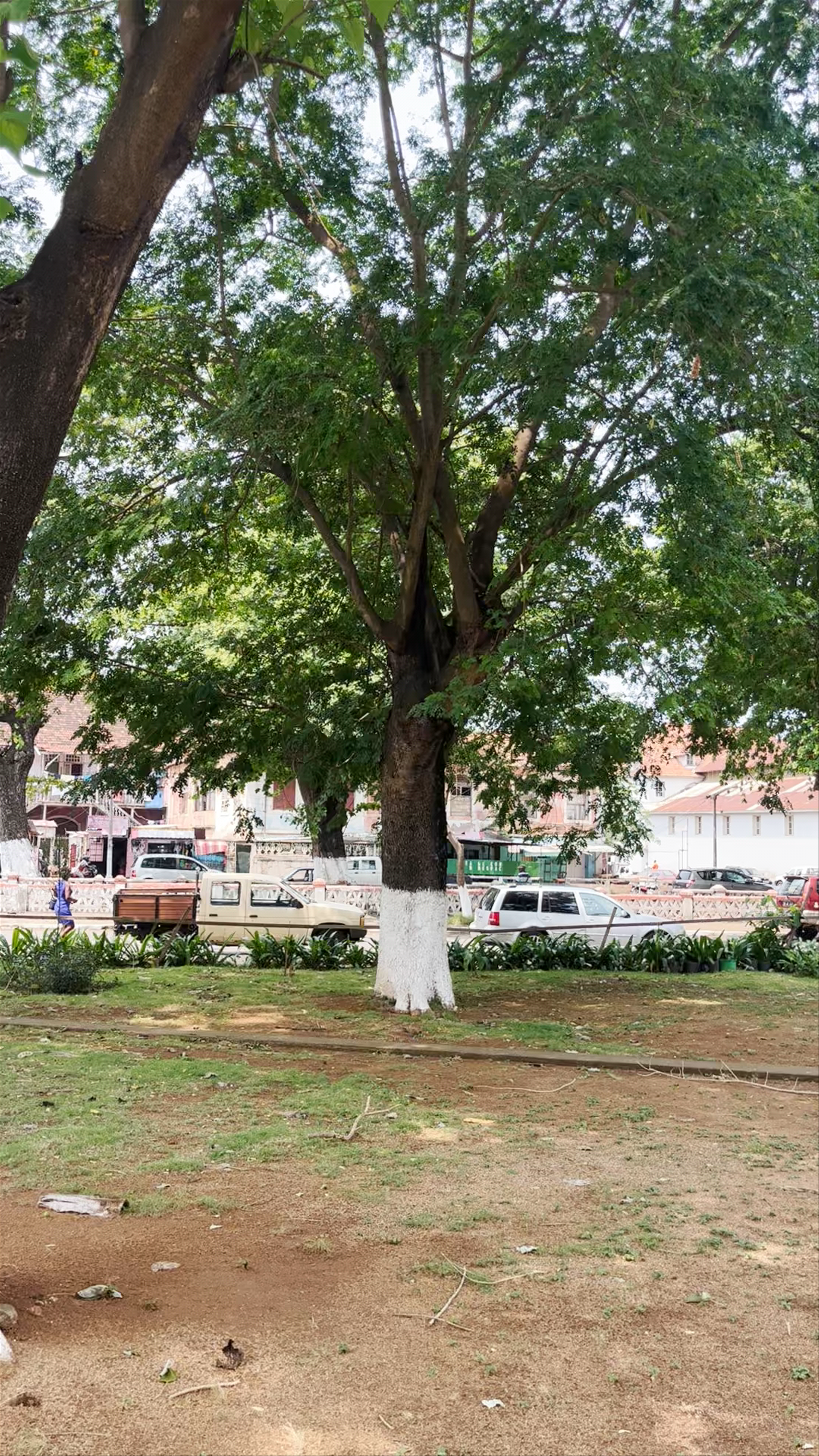 Catedral de Nuestra Señora de la Gracia
